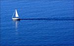 samotny_biały_żagiel.jpg