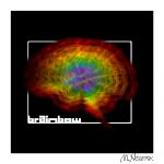 brainbow2.jpg