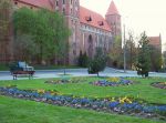 zamek_w_kwiatkach.jpg